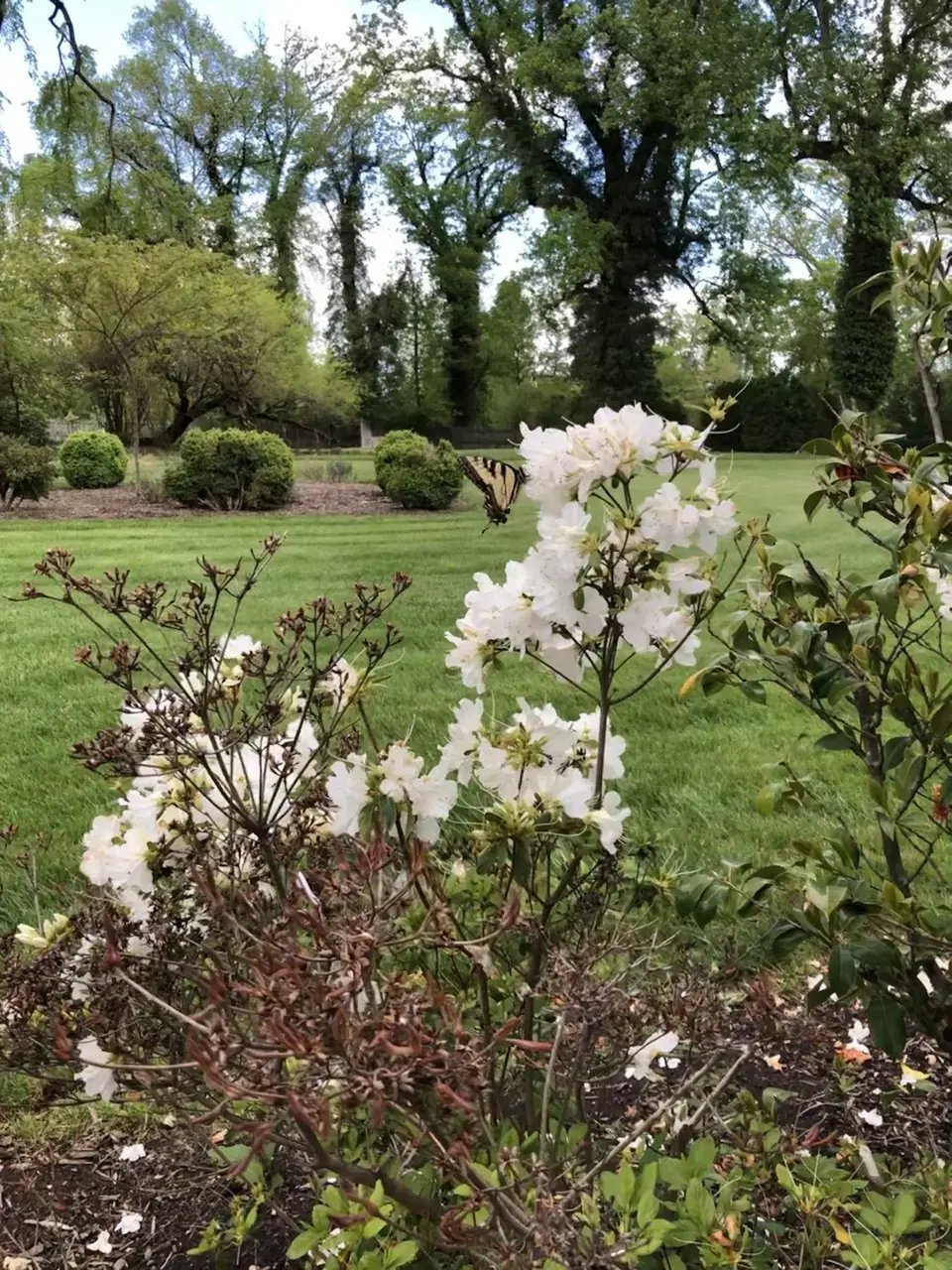 GG_Preserve_at_Dundee4