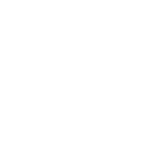 THC_Core_Values