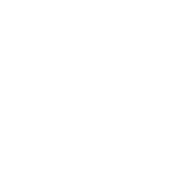 THC_Core_Values
