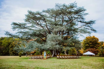 Maymont: Richmond wedding venue