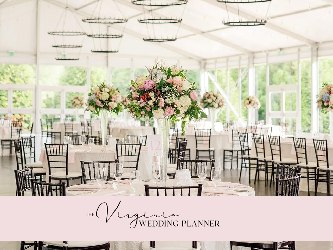 GG_VirginiaWP GG_VirginiaWP